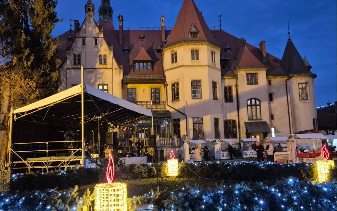 NASTUP ŠKOLSKOG PJEVAČKOG ZBORA NA BOŽIĆNOM SAJMU U DONJEM MIHOLJCU